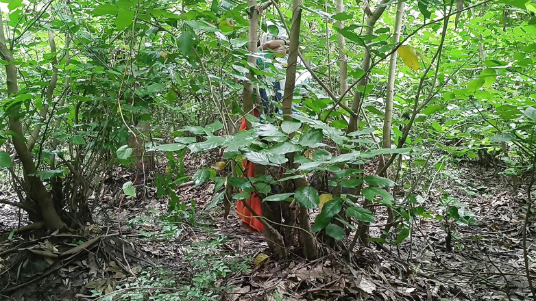Asha Devi: Kesalahan Terburuk Terbaik