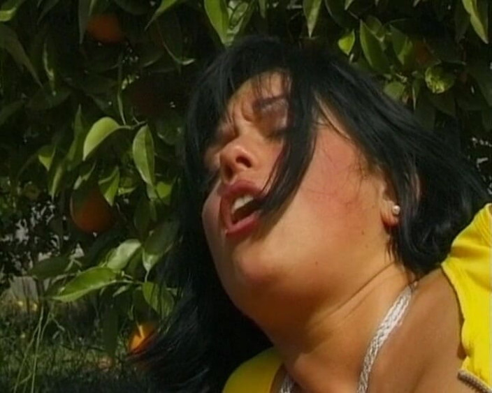 Busty German Sluts: Une Allemande se fait sodomiser dans la nature
