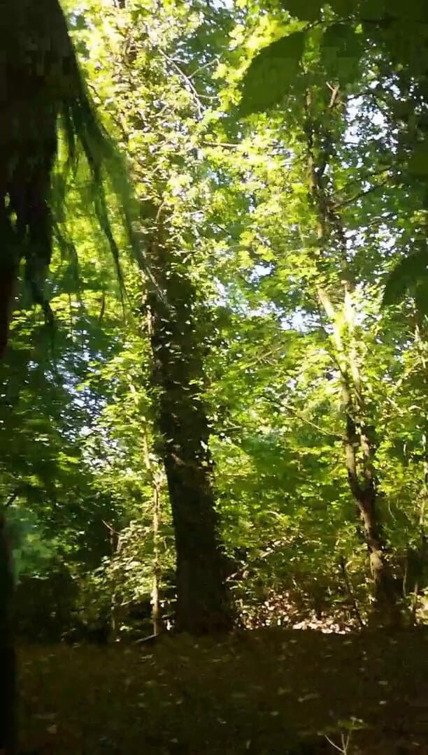 Babe2race: Masturbation dans la forêt pendant la pause déjeuner