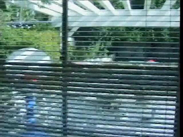 Hot and Wet: La formosa ragazza nera si fa leccare la figa da...
