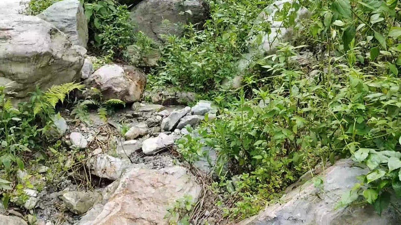 Uttar dinajpur: Сільська індійська на відкритому повітрі ризиковано трахається на відкритому повітрі з моєю гарячою покоївкою