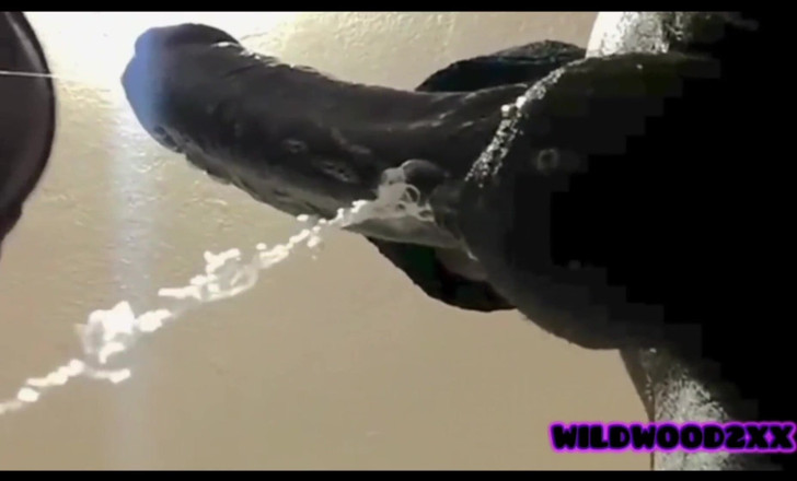 Wildwood21519: Deepthroat sperma i munnen kollektion