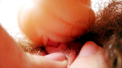 Cuteblonde666: Enorme clitoride finta masturbazione vagina grande clitoride strofinando e succhiando...