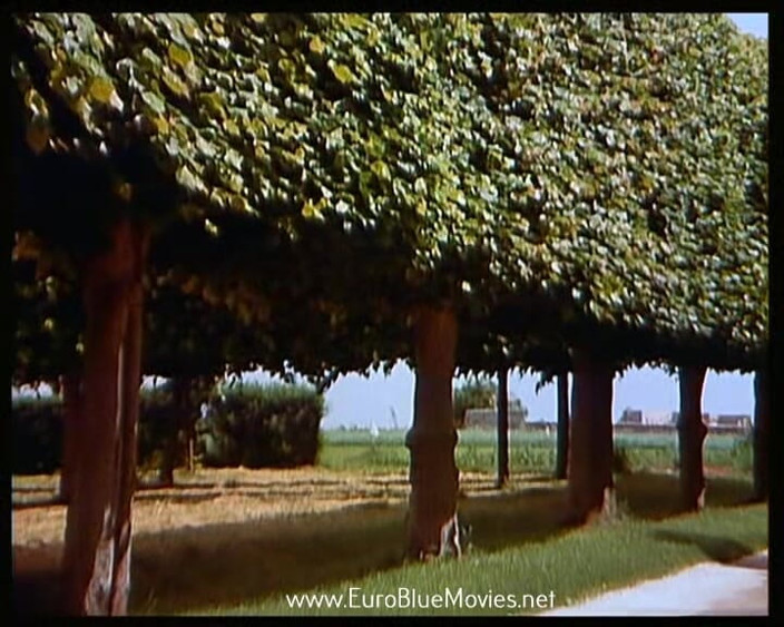 Euro Blue Movies: Клієнти 1982 - повний фільм