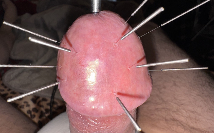 Qualzucht: Jarum di montok, kelenjar keras, orgasme!!