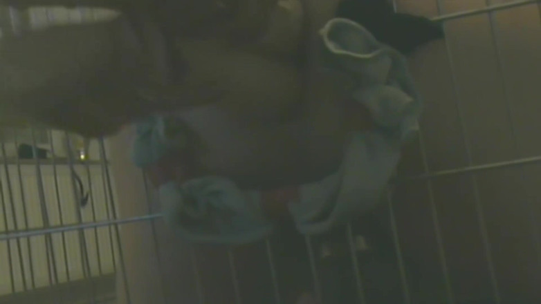 No limit cbt slave: Escravo na gaiola é usado analmente