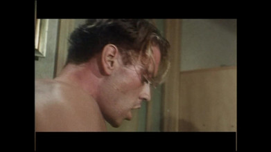 ROCCO SIFFREDI