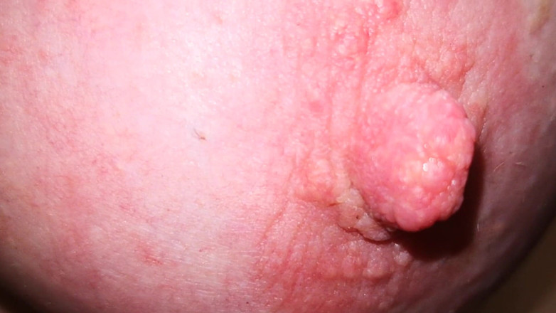Bouncy Tits Action: Puting memerah nafsu
