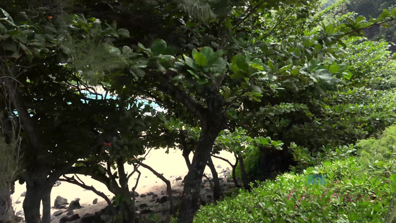 ATK Fans (Girlfriends): Vacances virtuelles à Kauai avec Kristen Scott, partie 2