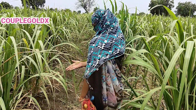 Sexy Komal: Kongkek komal oleh Malik semasa bekerja di padang