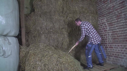 German Porn: Allemande - grosse fille à forte poitrine dans la nature