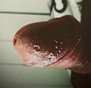 Big Pisser: Adoră-mi pula Smegma Simp