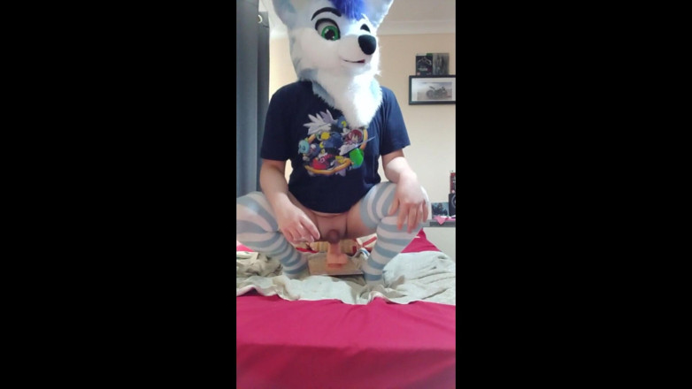 BlueHuskyuwu: Femboy Furry pup apne bare khilaune ke saath khelti hai