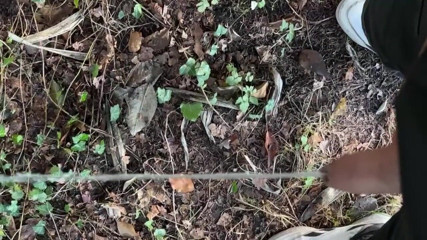 Fratchino: Questo tizio gli tira fuori il cazzo e si fa...