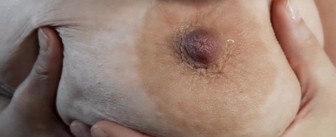 hugeboobswife: ¿Quieres chupar mamis Bobbies Bebé? ¿Conmigo?