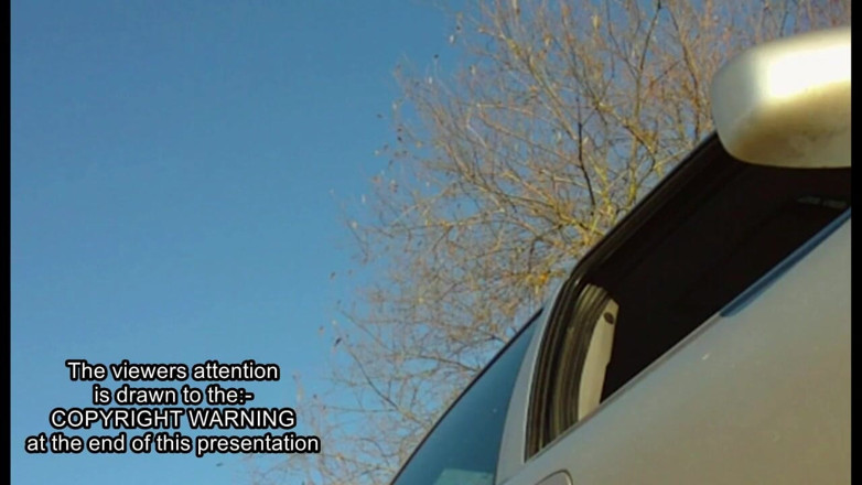 Movies by Louise: Durch das fahrerfenster gefickt