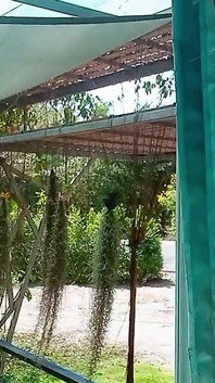 Buổi biểu diễn tuyệt vời