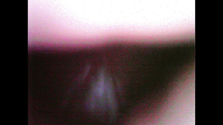 Lunaenma: Camera in je creampie-vagina deel twee
