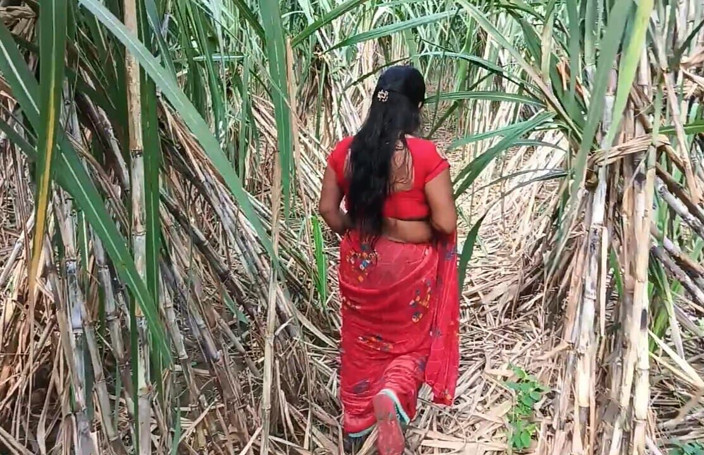 Desistepsis: Üvey annem sugarcane çiftçiliği