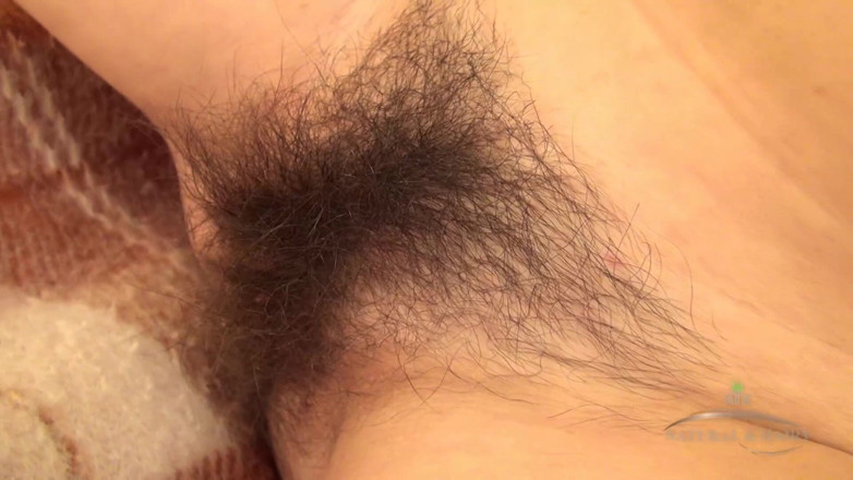 ATK Fans (Hairy): Brinquedos brincam