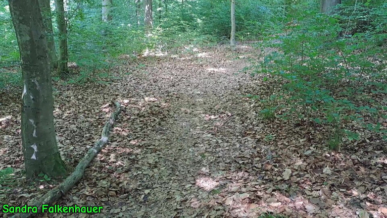 Sandra Falkenhauer: Een dildo in het bos geschoten