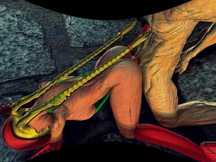 Games looper Sex VR Mode: Lustige videos 111