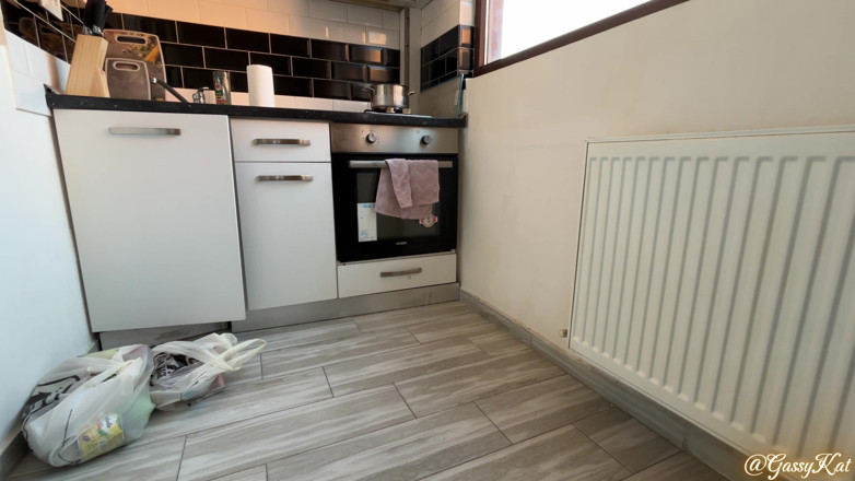 GassyKat: Mes pets puants possèdent la maison