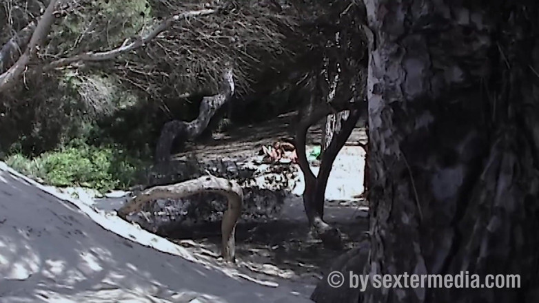 Petty by Sextermedia: Flickspel på stranden i Mallorca