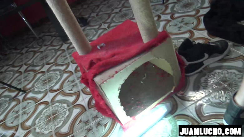Juan Lucho: Tattoed Couple Fuck Hard