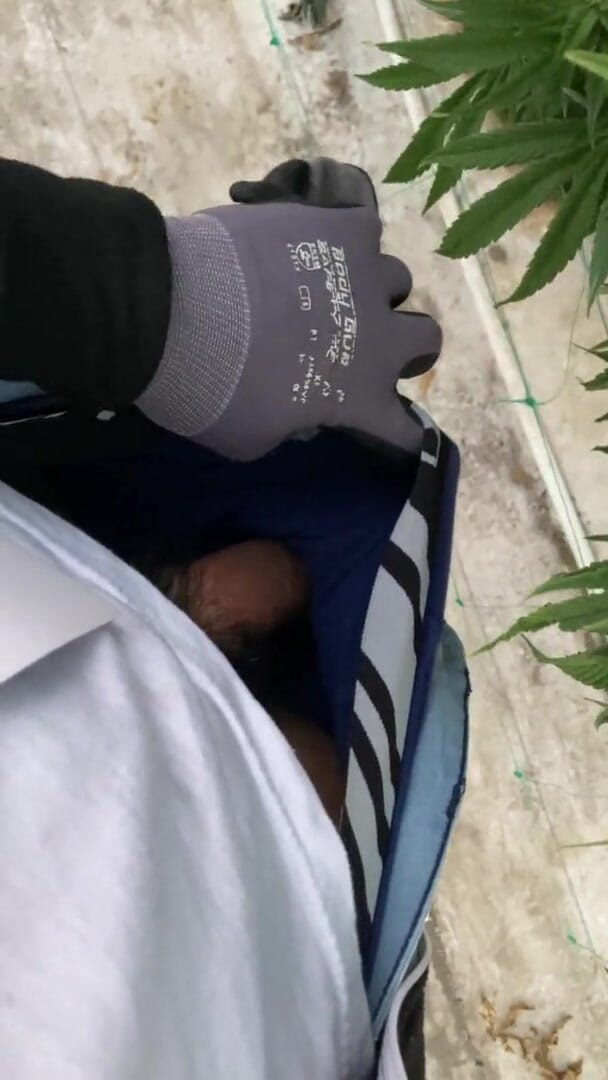 Xooshua (xblue18): Twink gay con un grosso cazzo