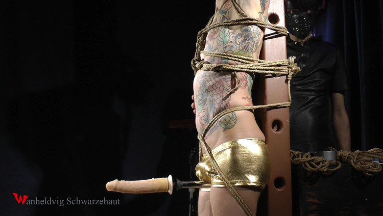 Wanheldvig: Bondage y consolador a chico caliente