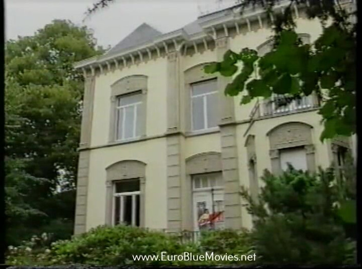 Euro Blue Movies: Gorący biznes 1993