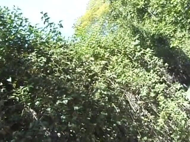 Home Alone and Horny: Compilation video of solo babes masturbating