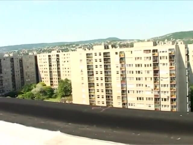 Gays Case: Un gay chauve reçoit une pipe sur le toit d'un...
