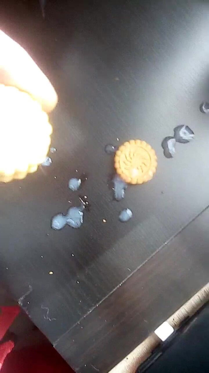 Daniel Bergmoser: Comiendo galletas con mi crema