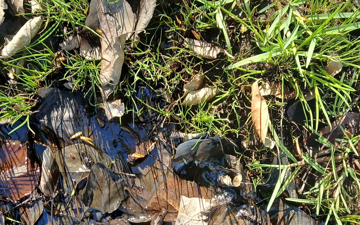 Latex Boy: Noroi Distractiv În Camo Wellies De Cauciuc