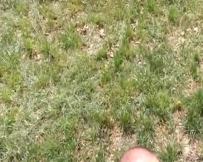 Porno kino: Redhead German Slut Rides Dick in Nature