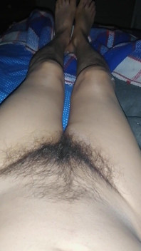 Tamale cea păroasă