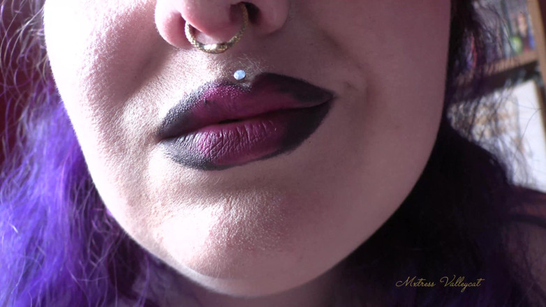 Mxtress Valleycat: Dragonfruit fume taquine