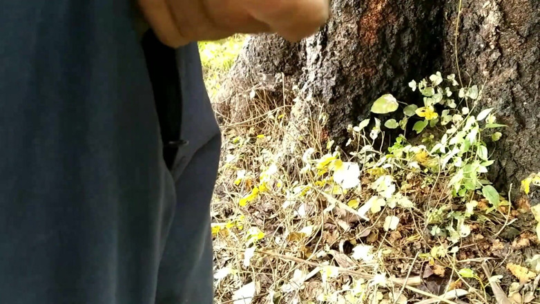 Desimast7: Indian Boy Playing with Cock, Pissing