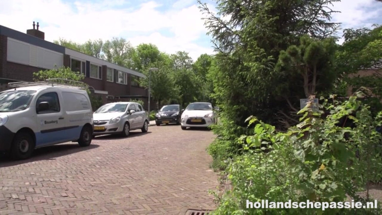 Hollandsche Passie: 埃丝特之心与她那磨损的内裤