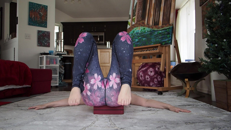 Aurora Willows: Cours de yoga dans les coulisses 92
