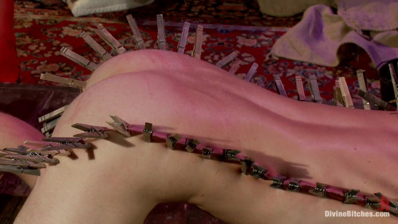 Divine Bitches by Kink: Starr Treatment