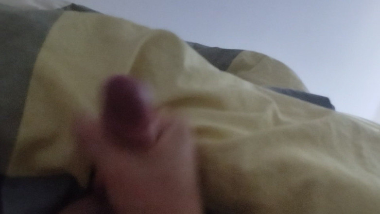 Bayer911: Morning Wood