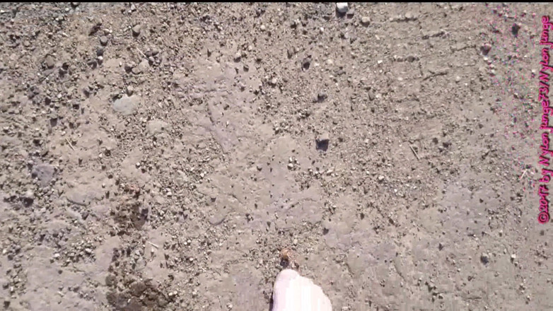 Carmen_Nylonjunge: White Socks in the Puddle