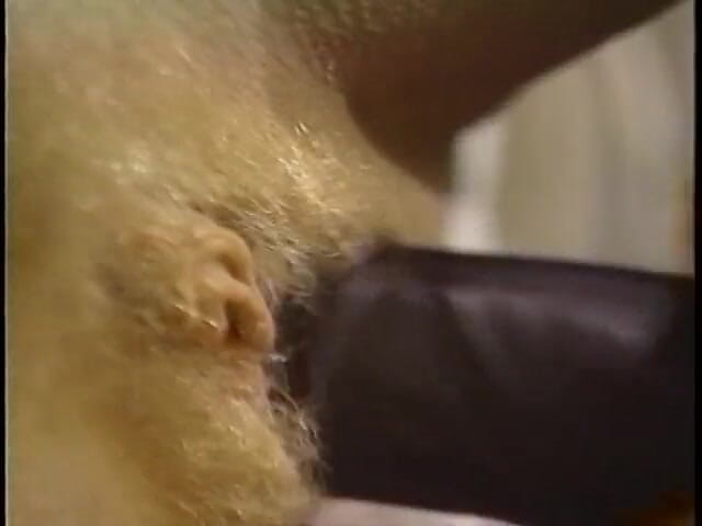 Vintage Usa: Enormes tetas rubia vintage trío follando gran polla chupando consolador...