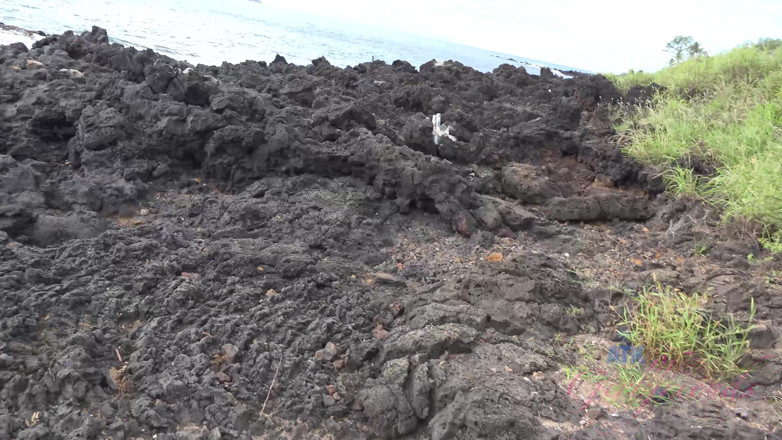 ATK Fans (Girlfriends): Virtueller urlaub Hawaii mit Karly Baker 1/9