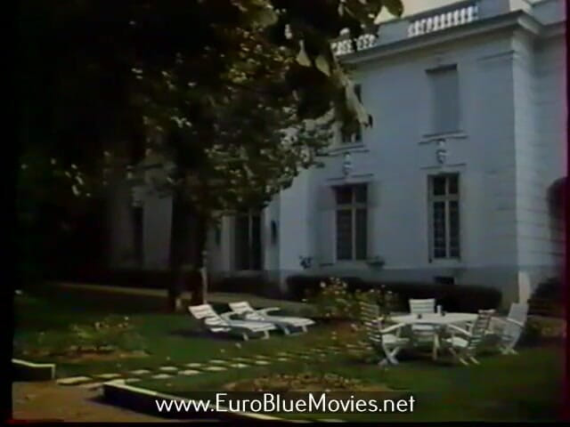 Euro Blue Movies: 歇斯底里的快乐 （1986）