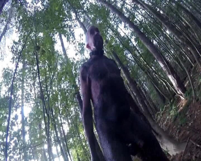 Andy: Bagian 2 ib kotor di hutan
