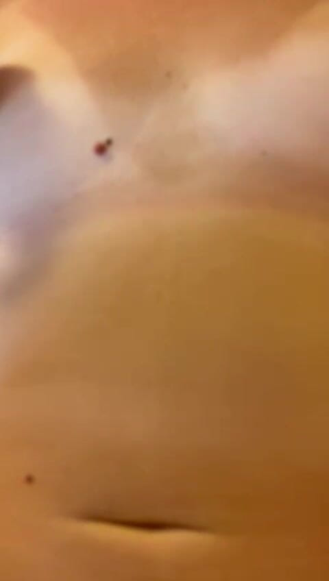 Nicetouch666: Figa scopata da bel cazzo